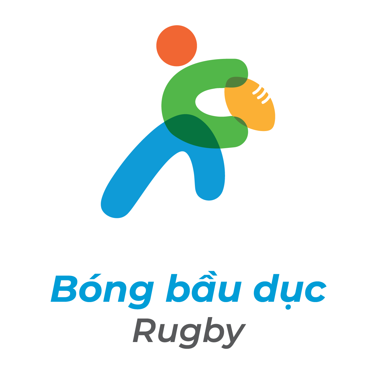 Bóng Bầu Dục